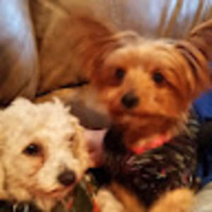 Meet your Posher, Audrey